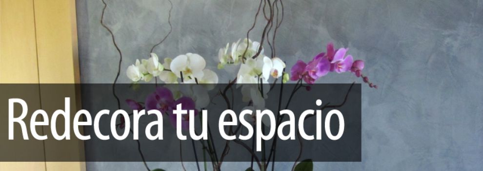 FLORISTERIAS SEVILLA floristerias sevilla: