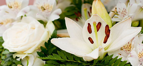FLORISTERIA OVIEDO floristeria oviedo: