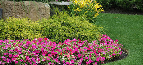FLORISTERIA OVIEDO floristeria oviedo: