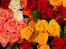 FLORISTERIA OVIEDO floristeria oviedo: