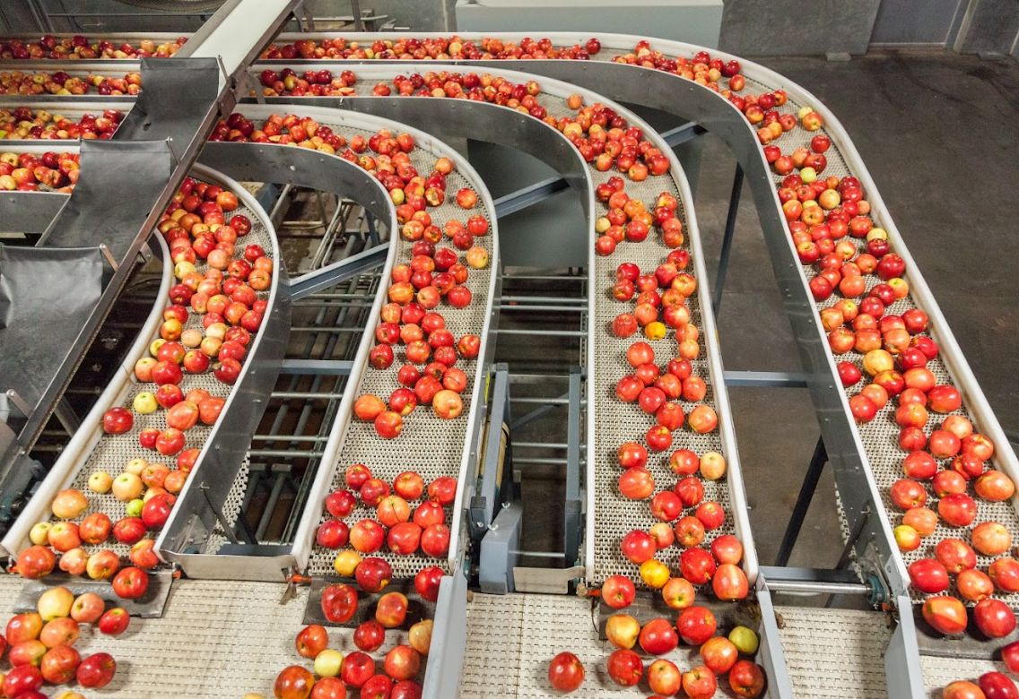 Cintas transportadoras en Zaragoza para agilizar la producción