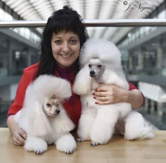 Cursos de peluquería canina en Granollers Ca la Ruth Grooming