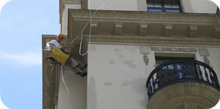 Sistemas anti-aves: Trabajos de Acebo Trabajos Verticales Sistemas anti-aves: Trabajos de Acebo Trabajos Verticales