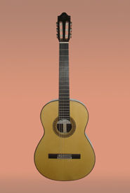 GUITARRA CAMPS MD. M-10 GUITARRA CAMPS MD. M-10