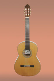 GUITARRA CAMPS MD. M6-C GUITARRA CAMPS MD. M6-C