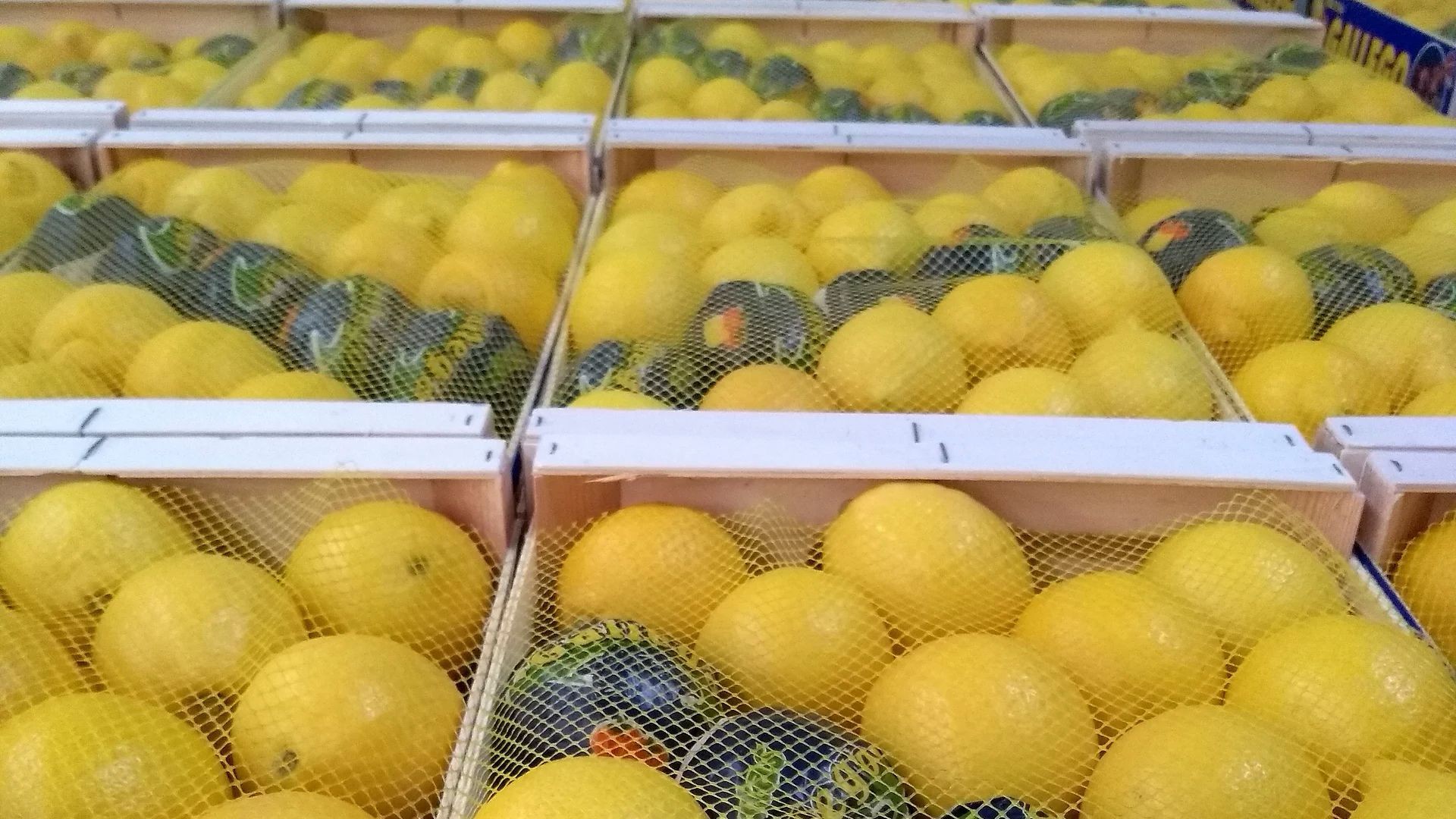 Distribución de limones en Murcia Distribución de limones en Murcia