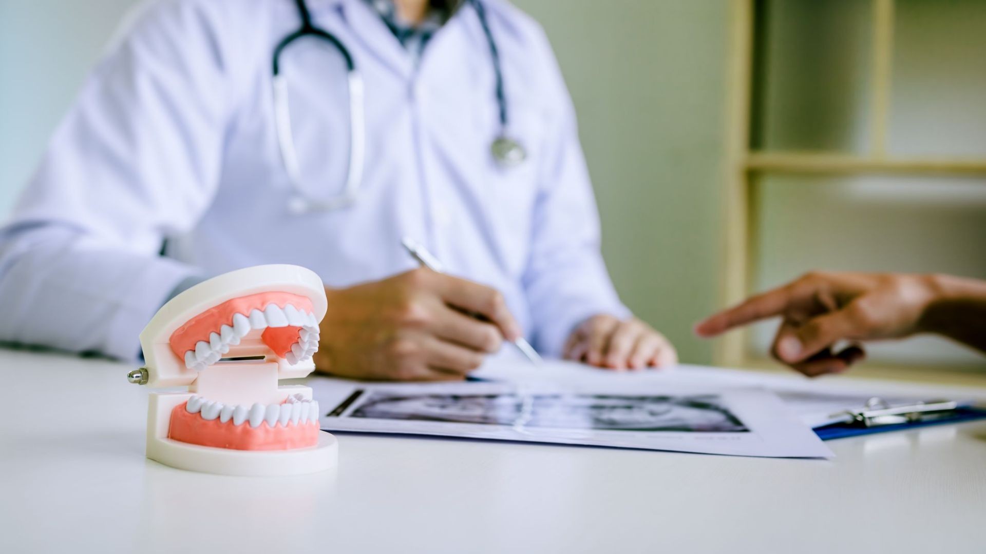 Servicio para dentistas y clínicas dentales Servicio para dentistas y clínicas dentales
