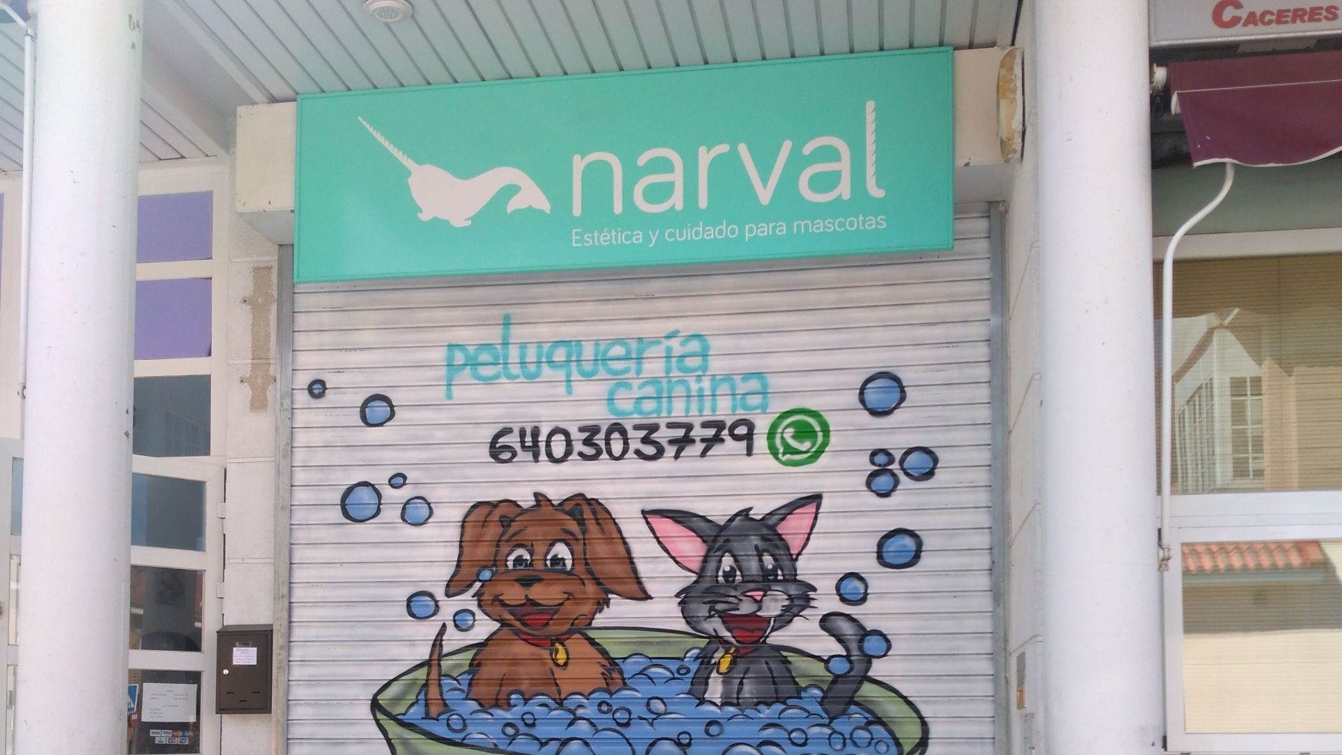 peluqueria canina y felina leganes peluqueria canina y felina leganes