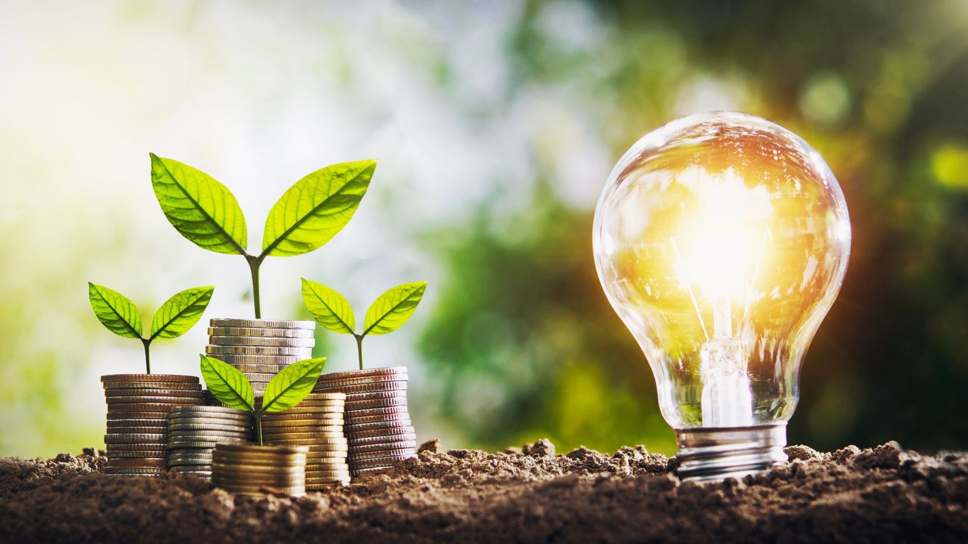 ahorro energetico empresas Alicante ahorro energetico empresas Alicante
