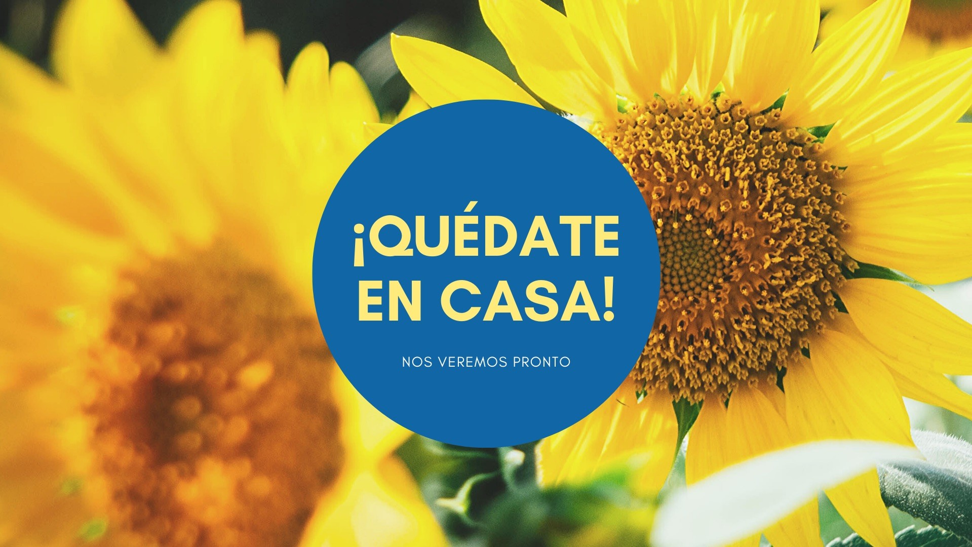 Copia de ¡QUÉDATEEN CASA2! Copia de ¡QUÉDATEEN CASA2!