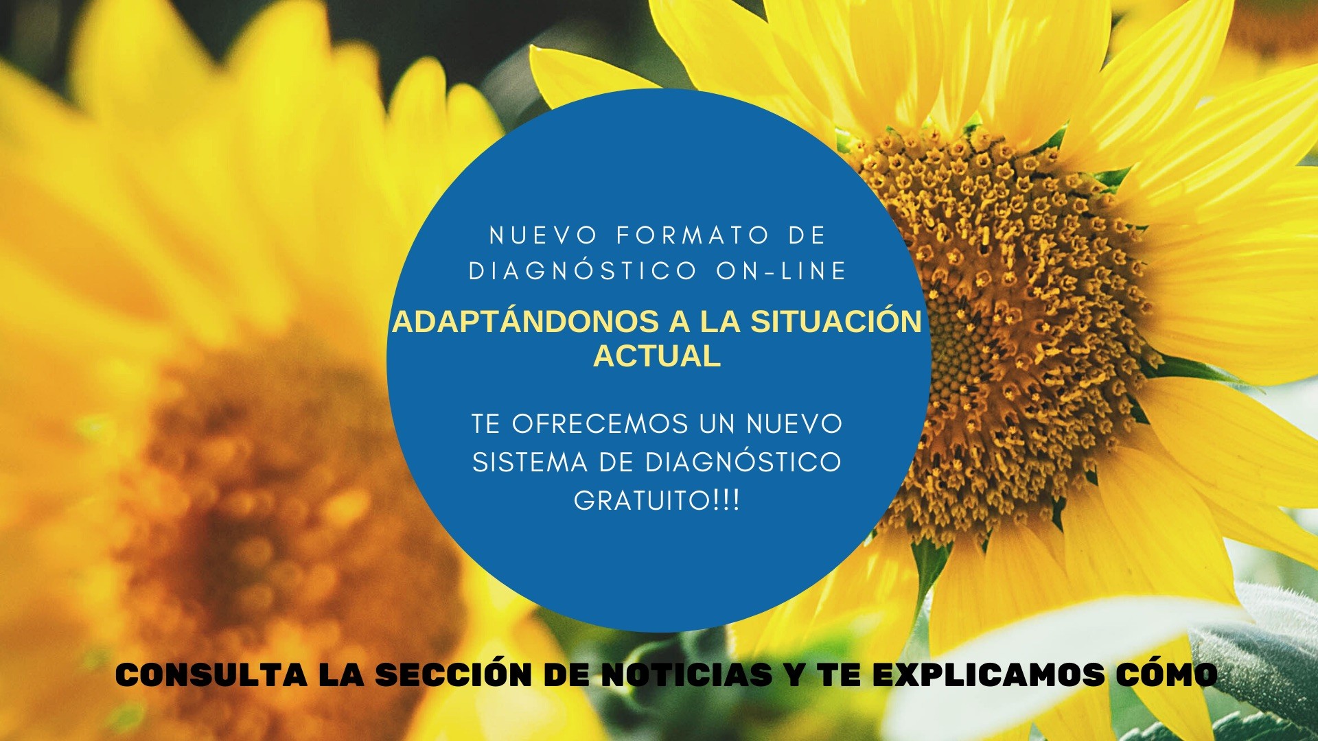 Copia de Comparte fotos de flores con el hashtag #díademayo2020 Copia de Comparte fotos de flores con el hashtag #díademayo2020