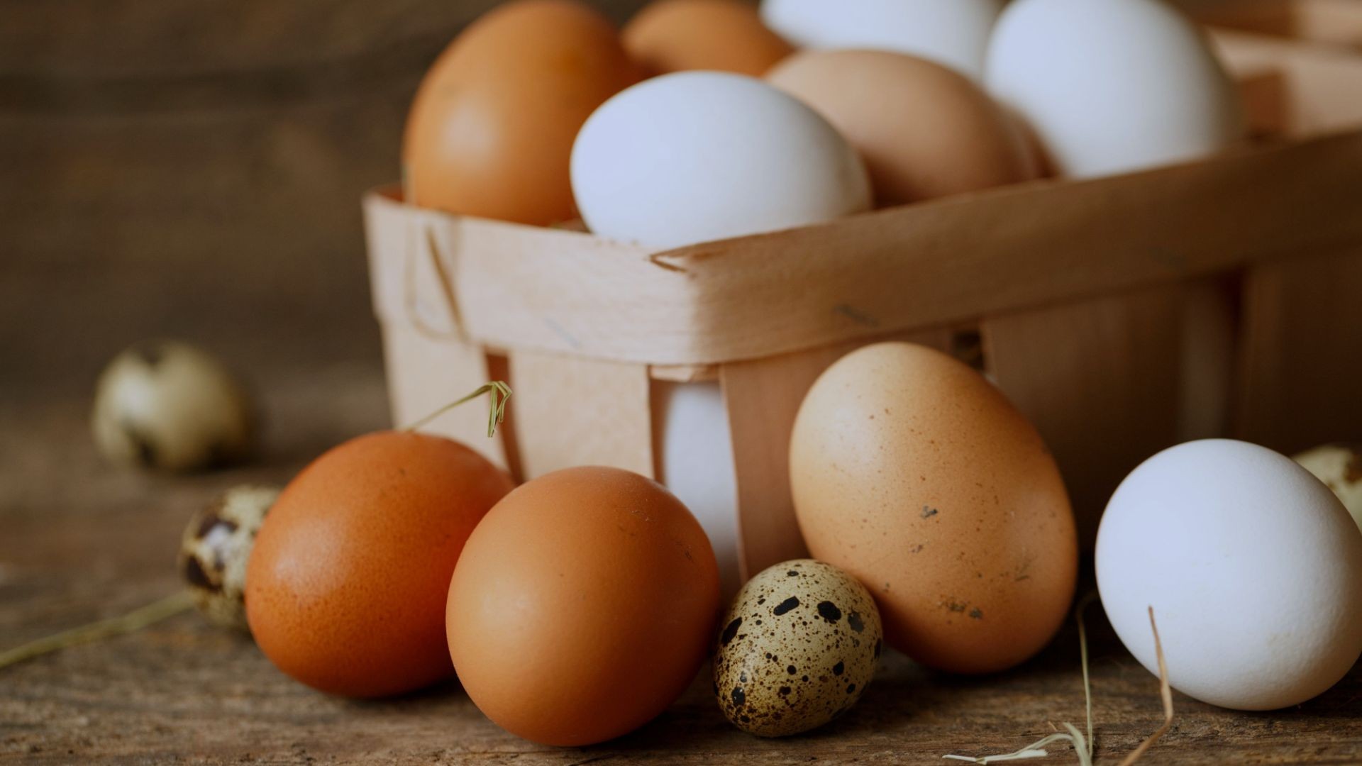 Pollos y huevos de granja en Almería Pollos y huevos de granja en Almería