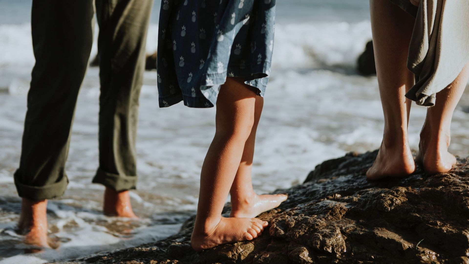 rawpixel-1137682-unsplash rawpixel-1137682-unsplash