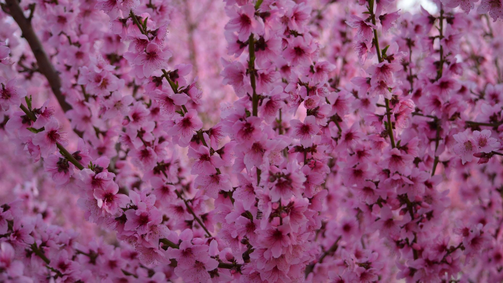 DSC_0404 DSC_0404