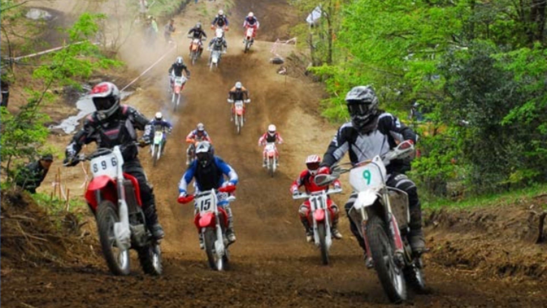 green motos green motos