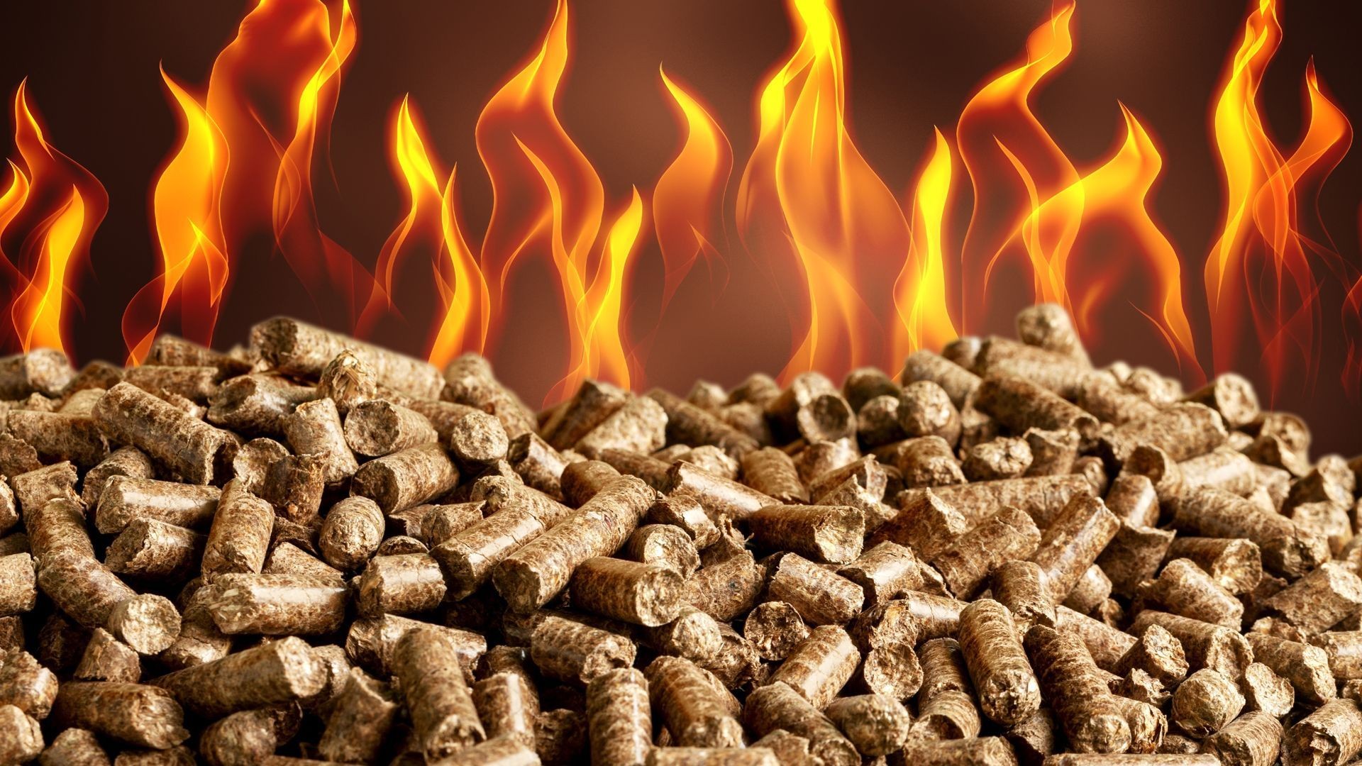Compra estufa de pellets en Granada Compra estufa de pellets en Granada