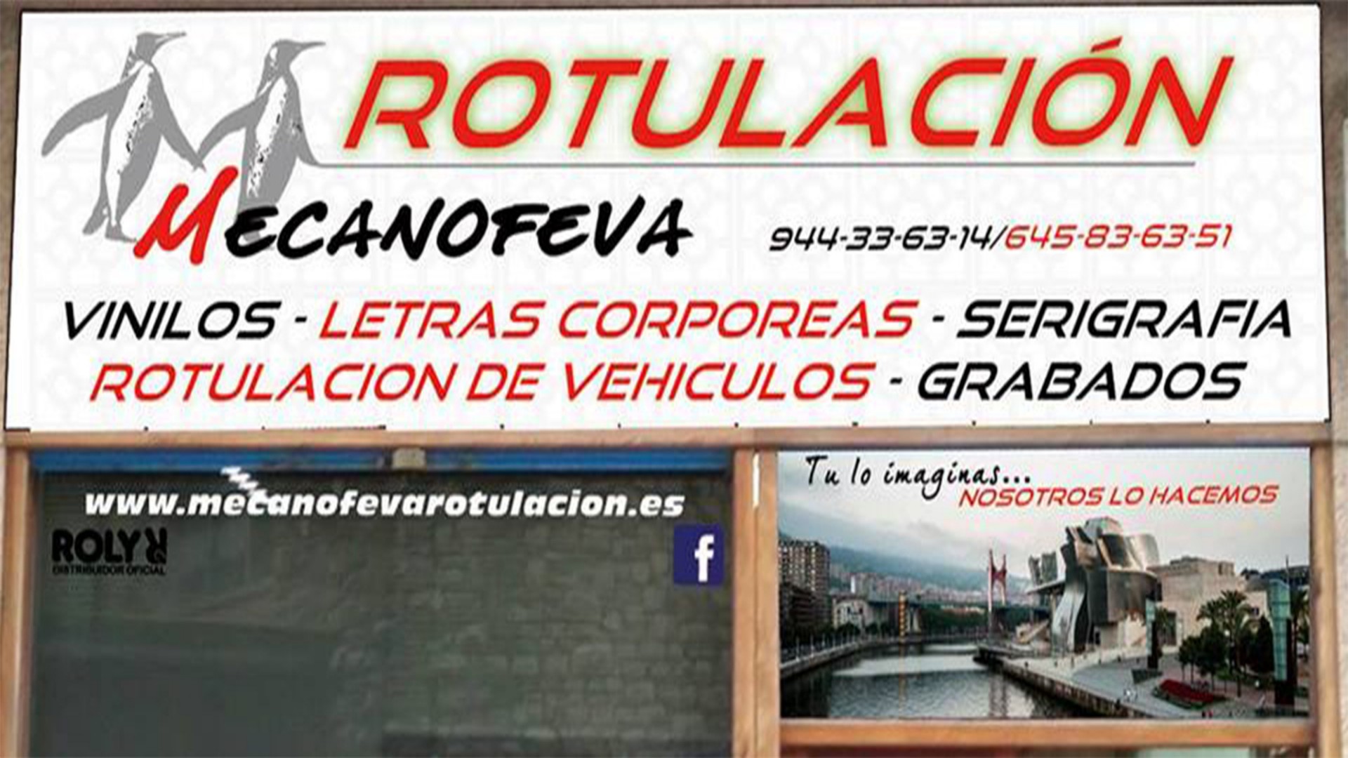 Mecanofeva