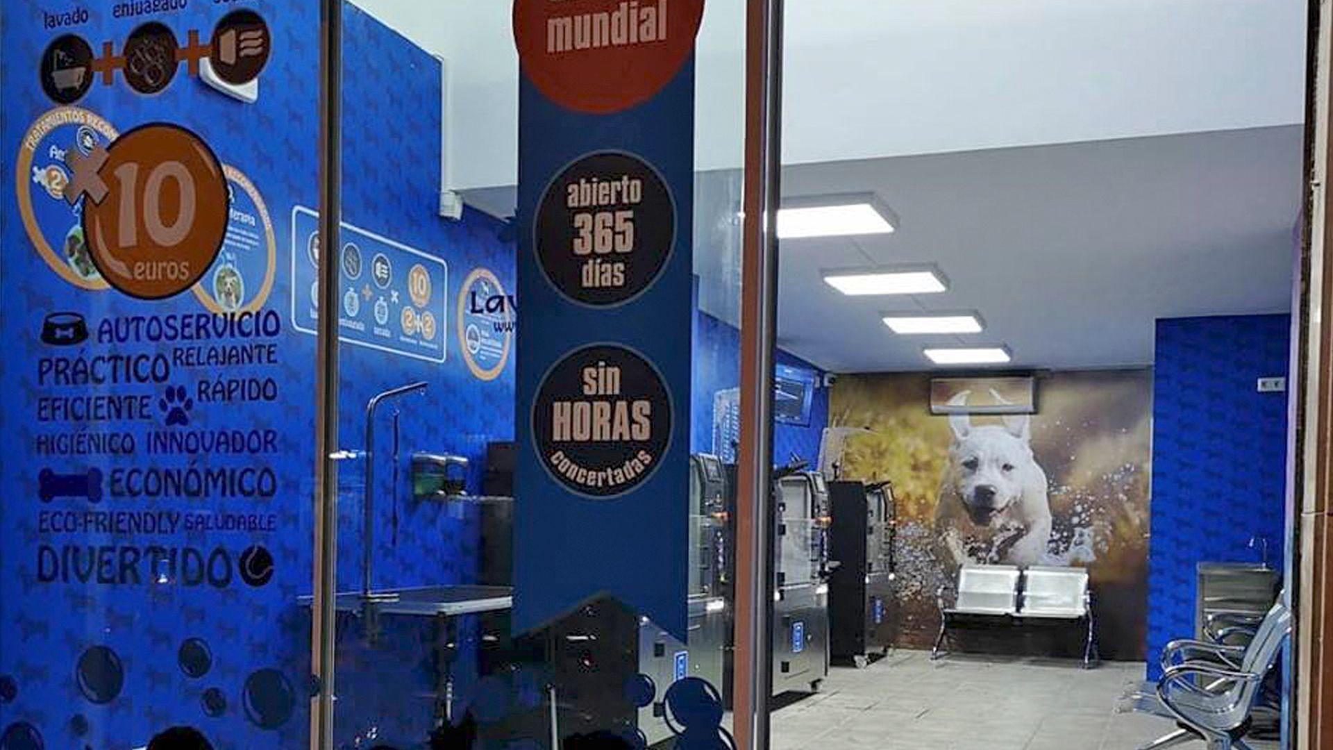 Autolavado canino y felino en Castelldefels Autolavado canino y felino en Castelldefels