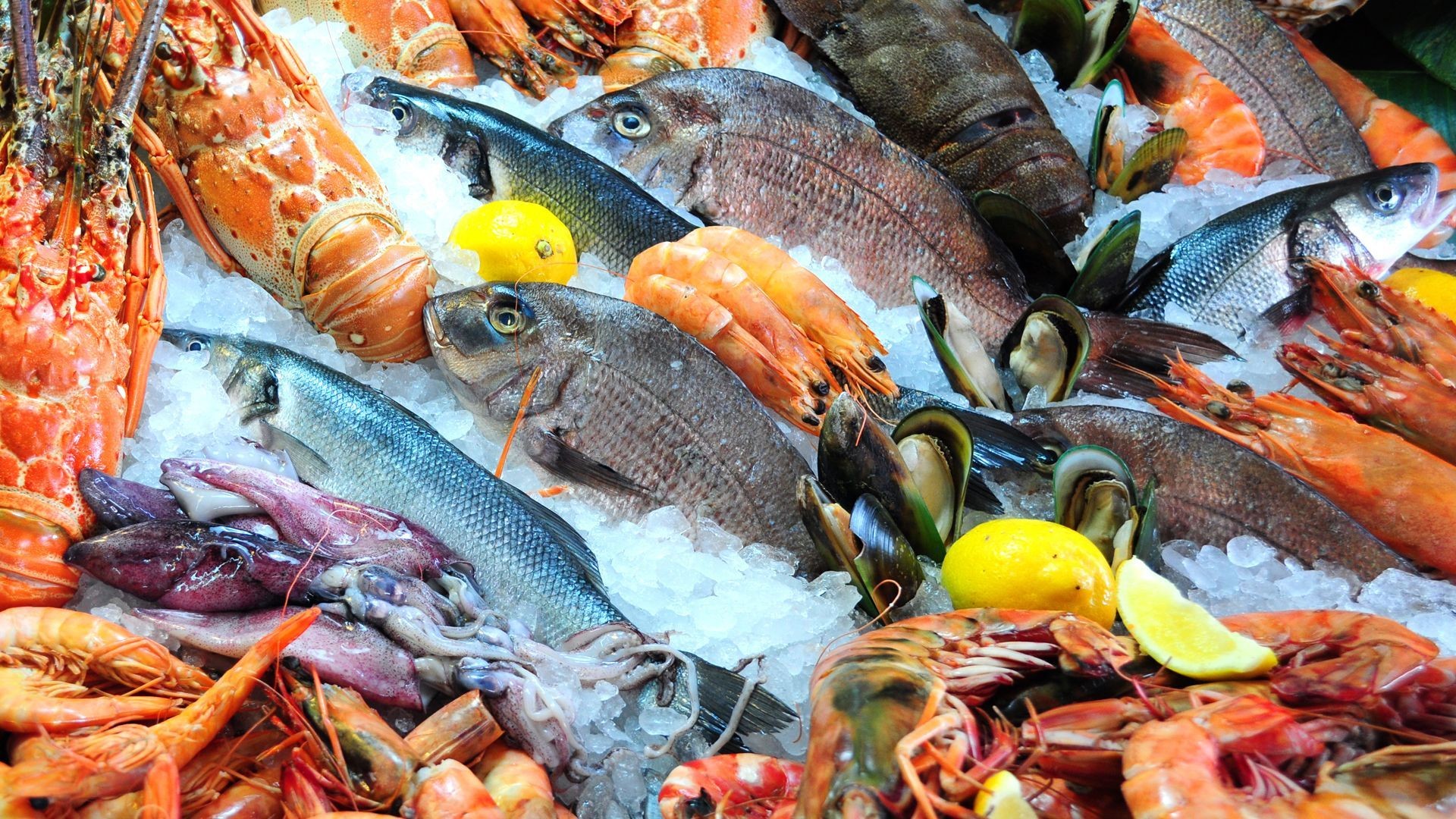 Pescados y mariscos frescos en Zaragoza Pescados y mariscos frescos en Zaragoza