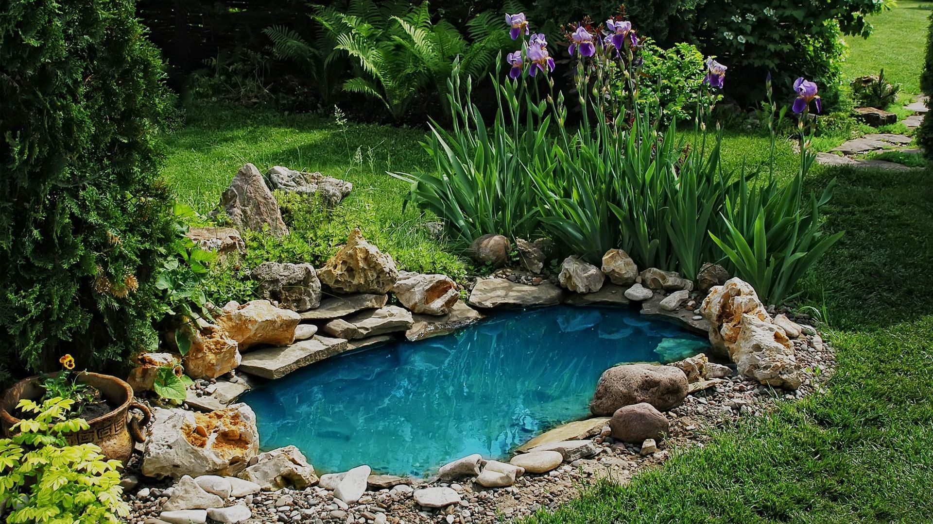 Diseño y mantenimiento de jardines y piscinas en Almería Diseño y mantenimiento de jardines y piscinas en Almería