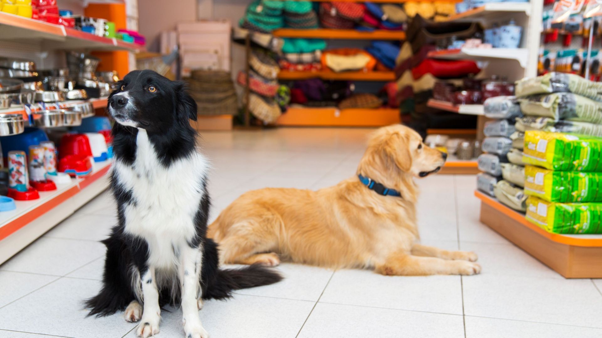 Tienda de animales en Valladolid