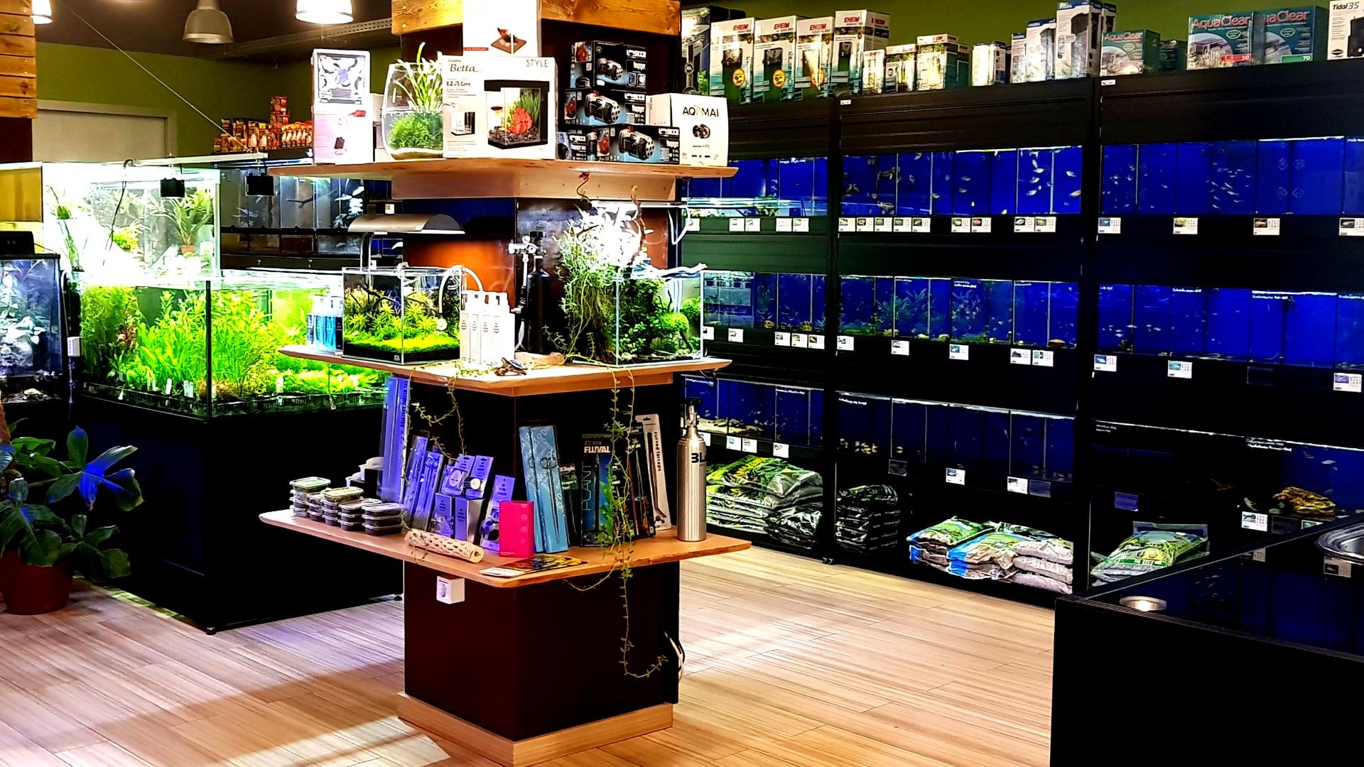 General tienda
