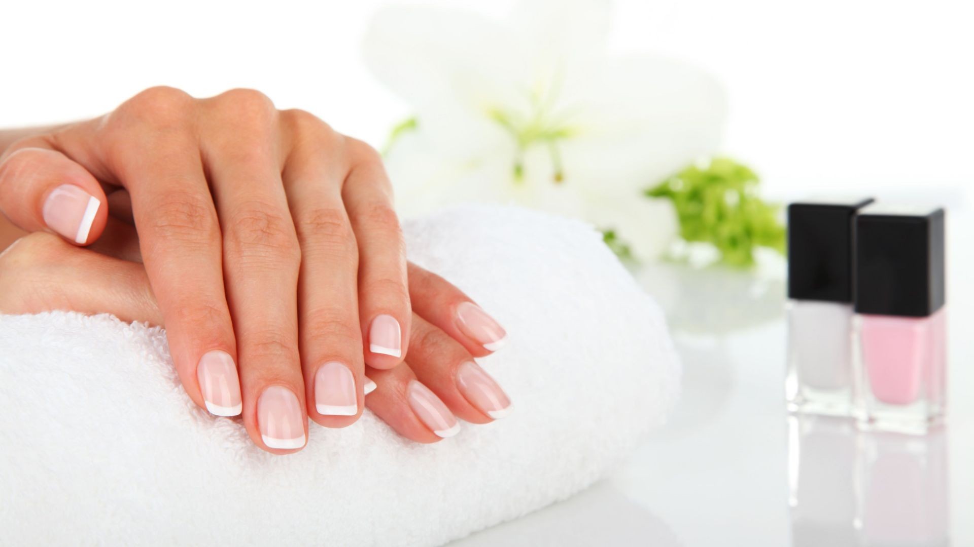 iStock_17420317_XXXLARGE