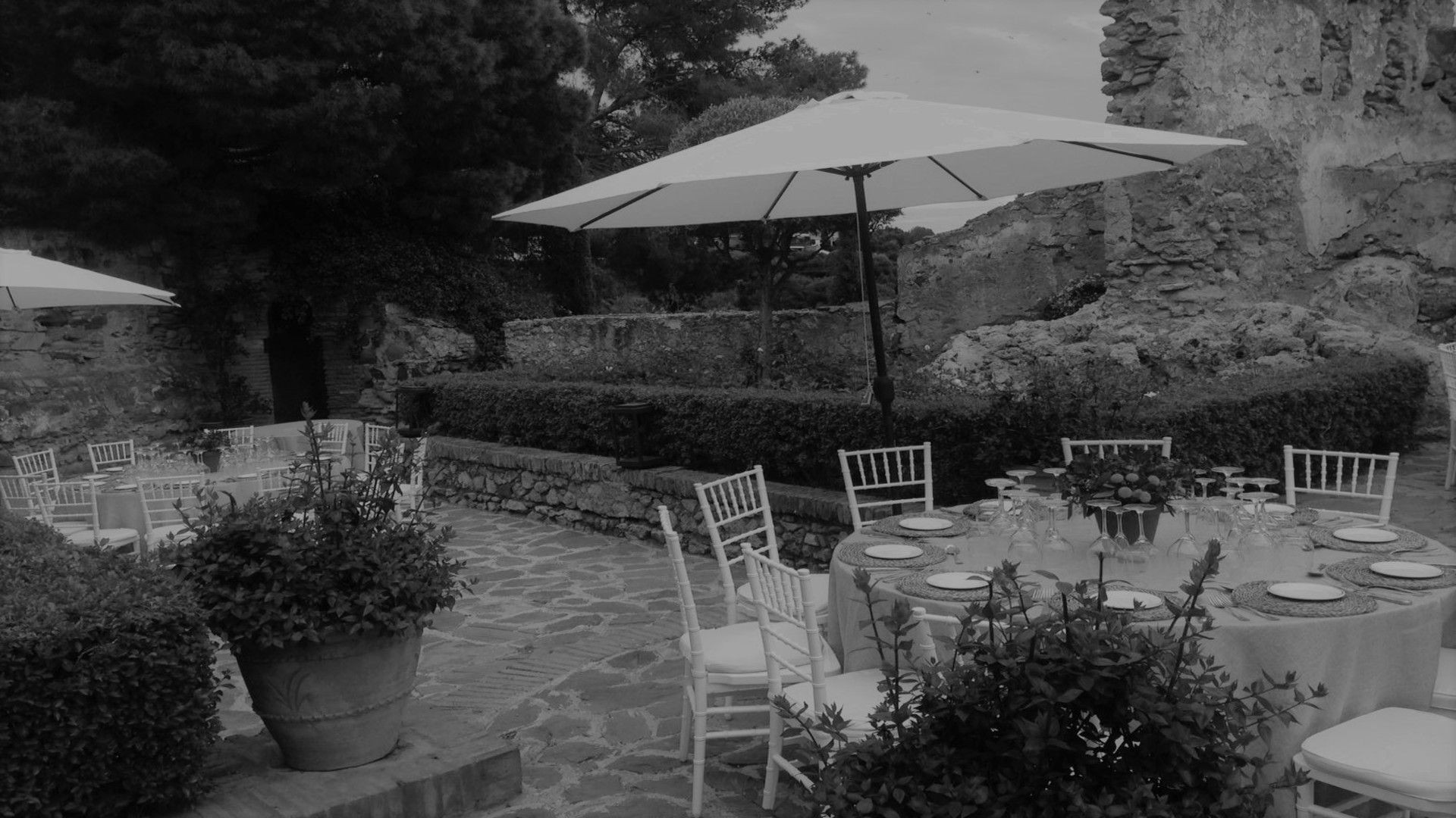 IMG_0602BLANCO Y NEGRO (1) IMG_0602BLANCO Y NEGRO (1)