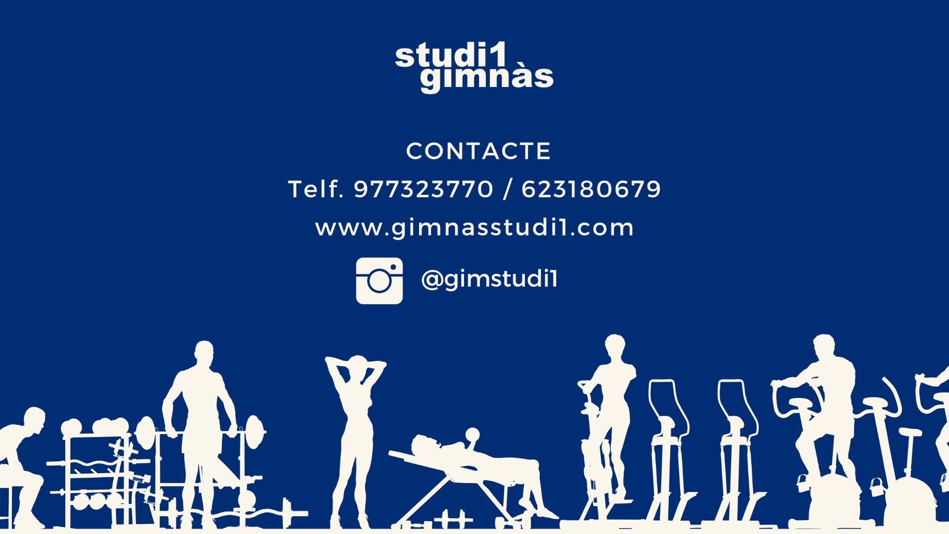 STUDI1 BANNER2