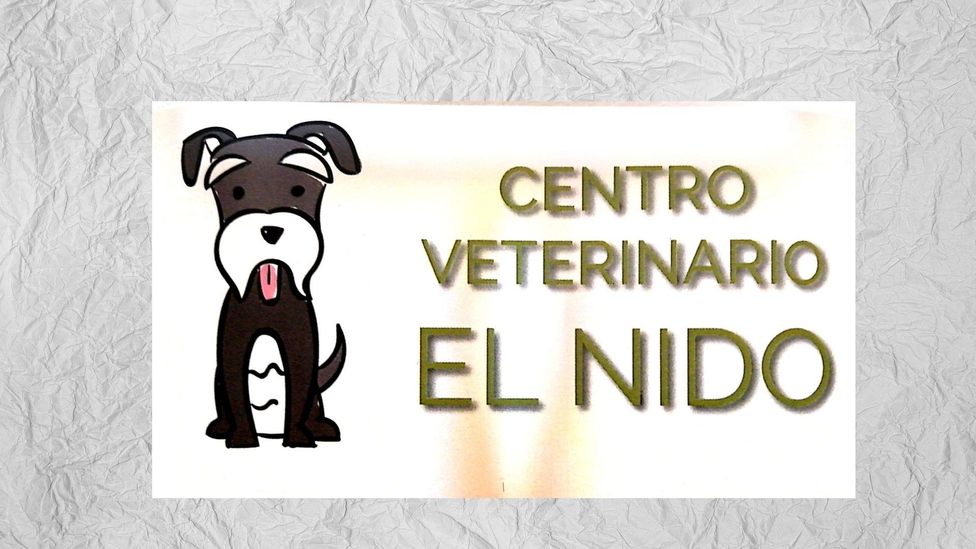 veterinario parla (2)