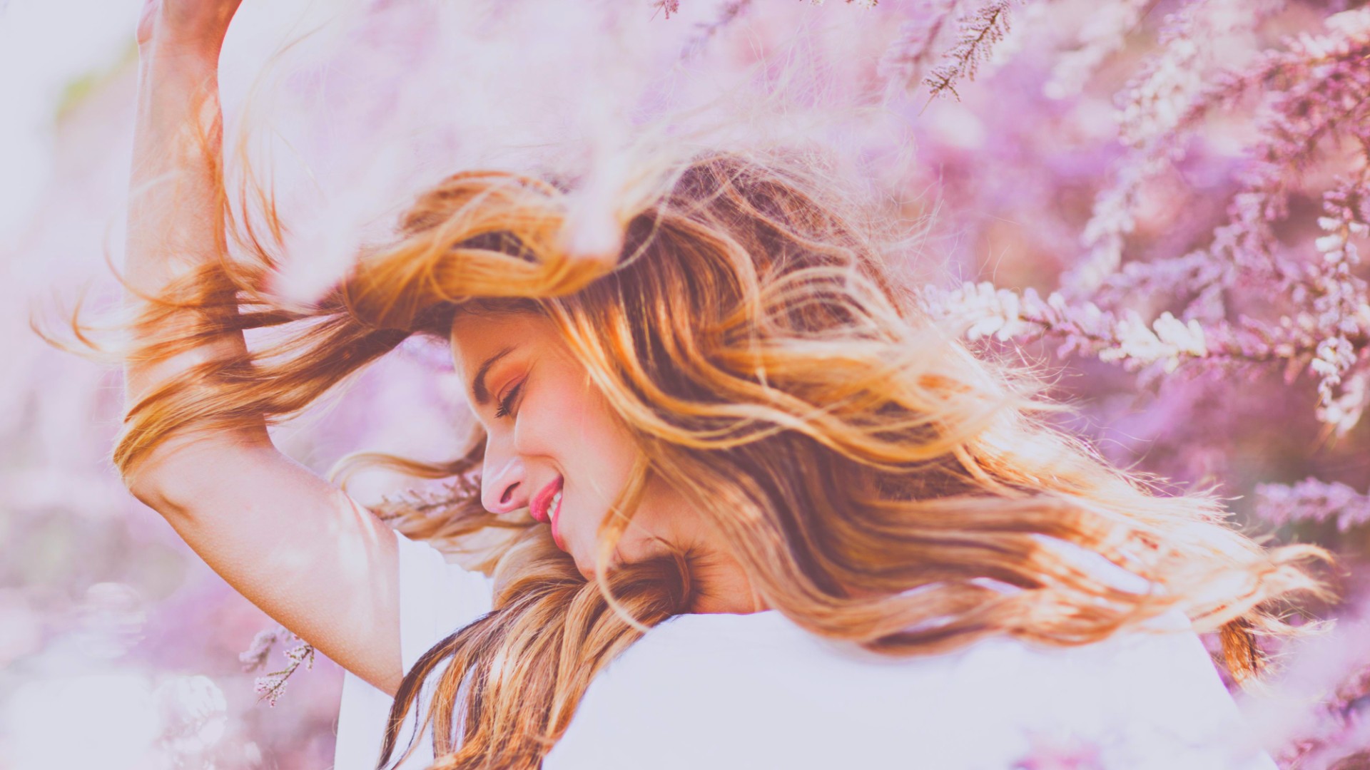 iStock-679314760 iStock-679314760