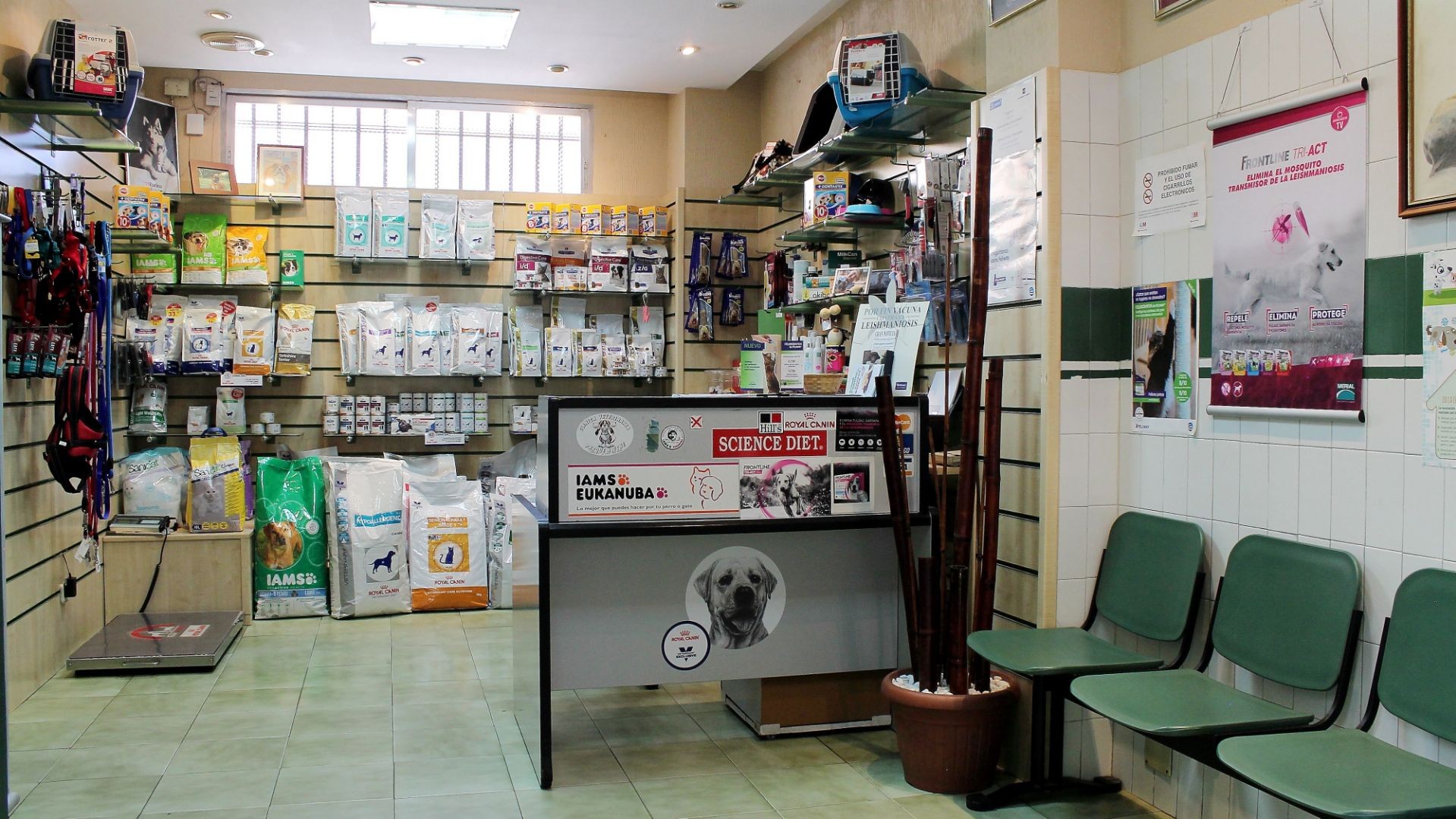veterinarios aluche veterinarios aluche