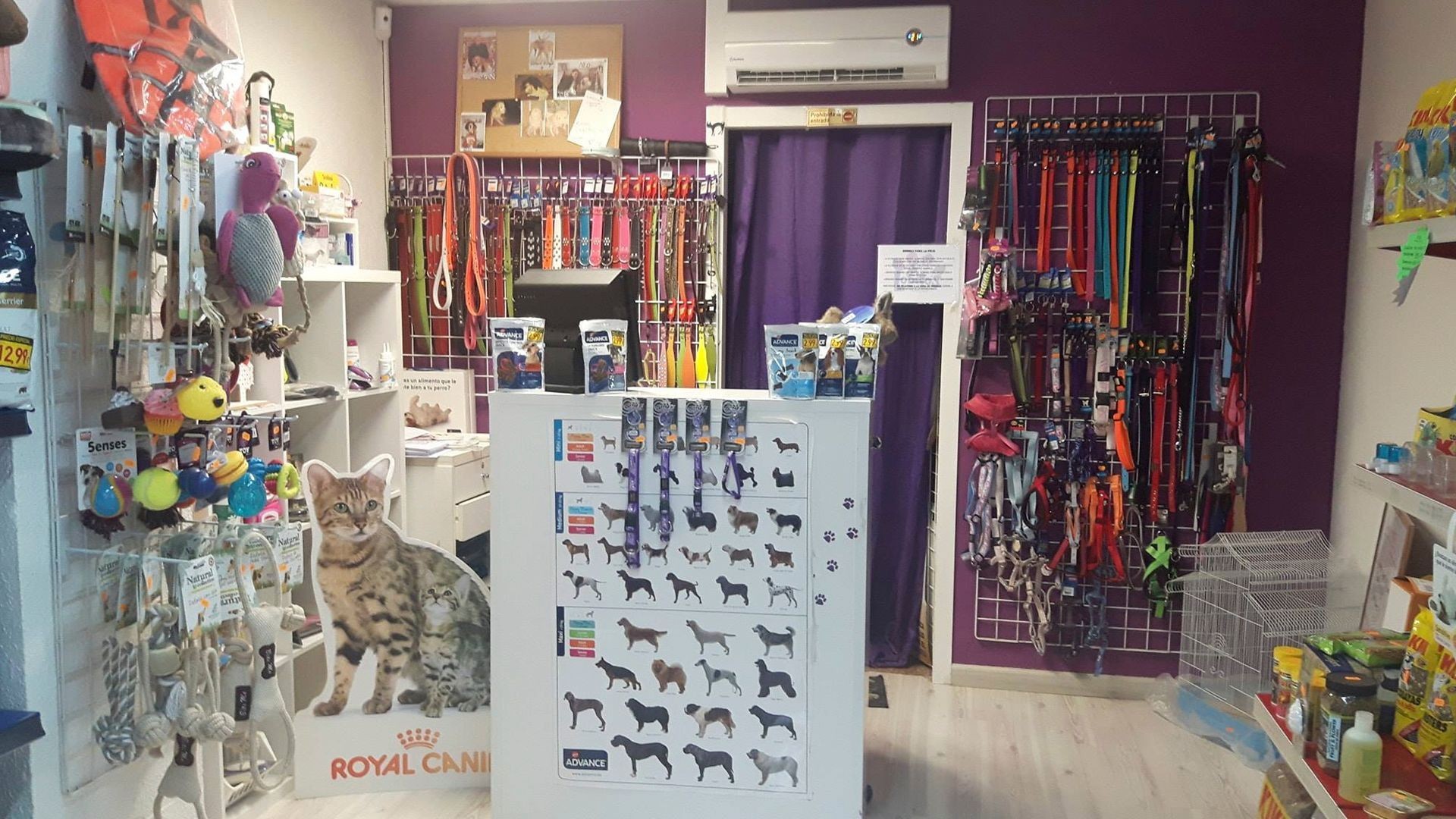 Todo para tus mascotas en Alicante Todo para tus mascotas en Alicante