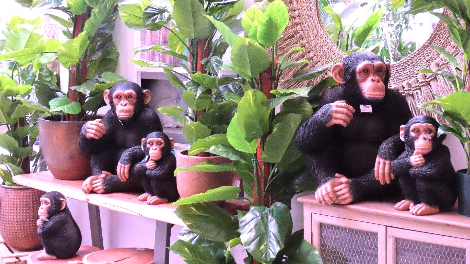 MONOS 1 (2) MONOS 1 (2)