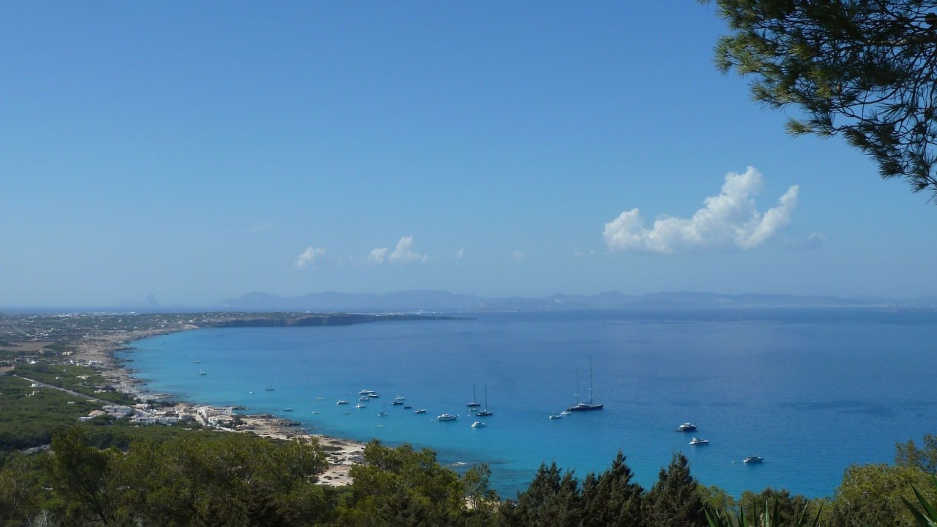 main photo background