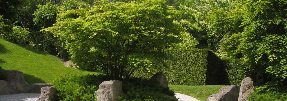 Viveros de jardinería en Ourense | Viveros Mende, S.L.