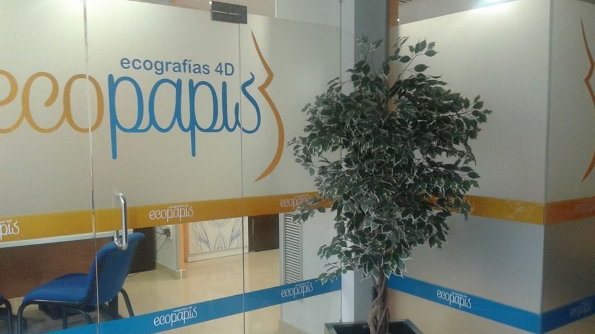 foto ecopapis (3)