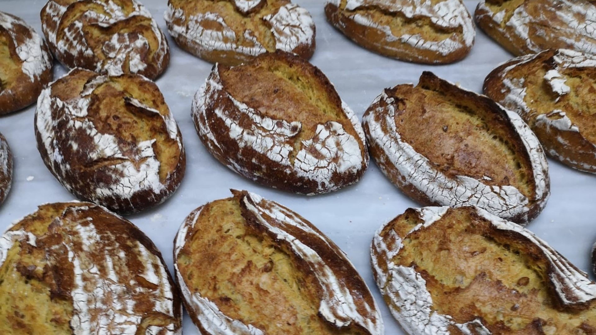 Panadería en Carmona Panadería en Carmona