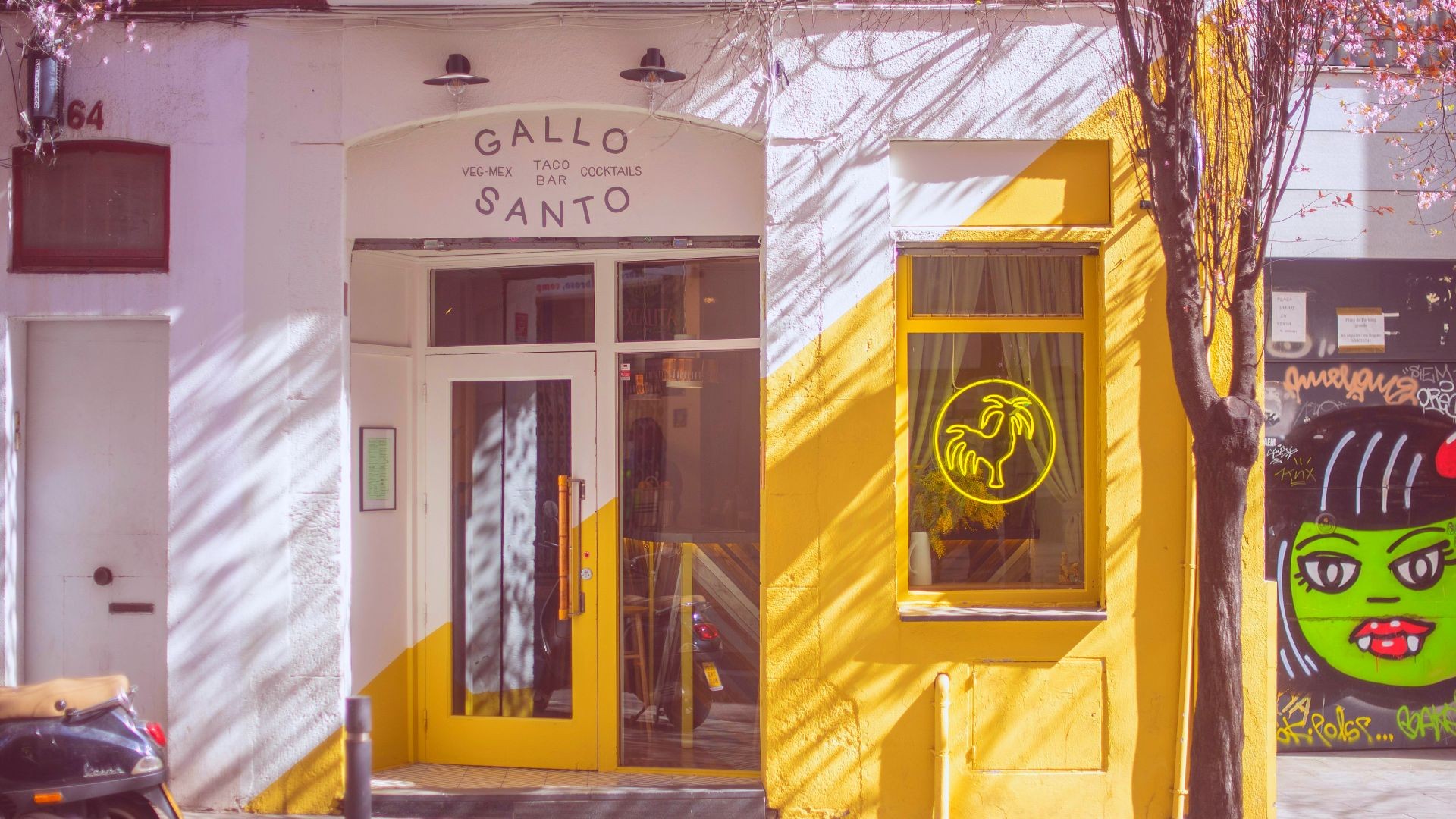 gallo santo2 gallo santo2