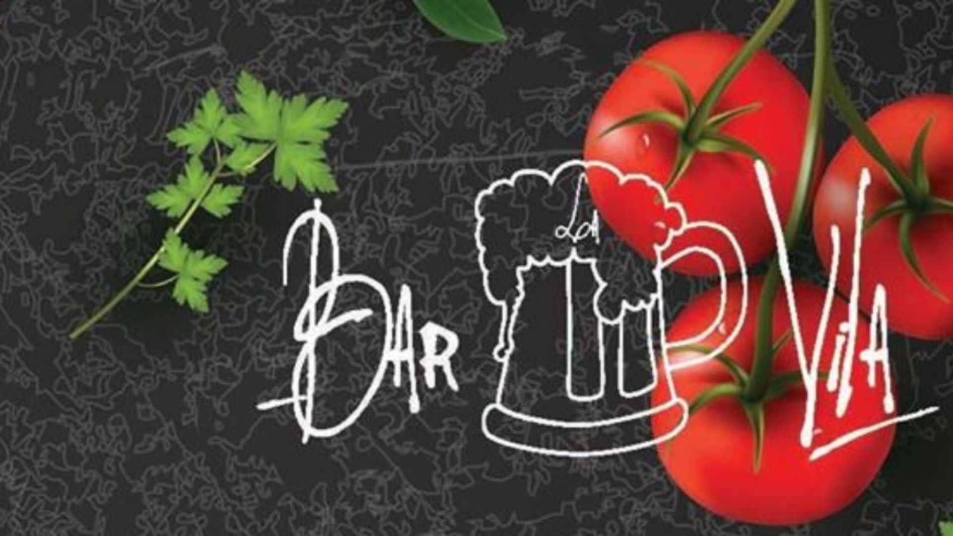 CERVECERÍA VILA