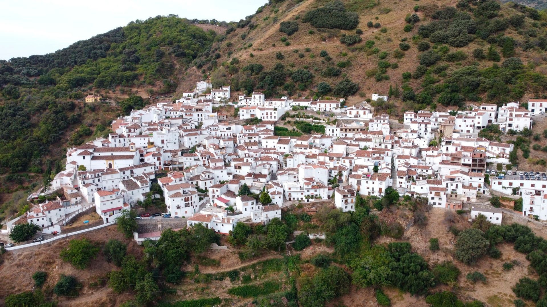 Ayuntamiento de Benalauría Ayuntamiento de Benalauría