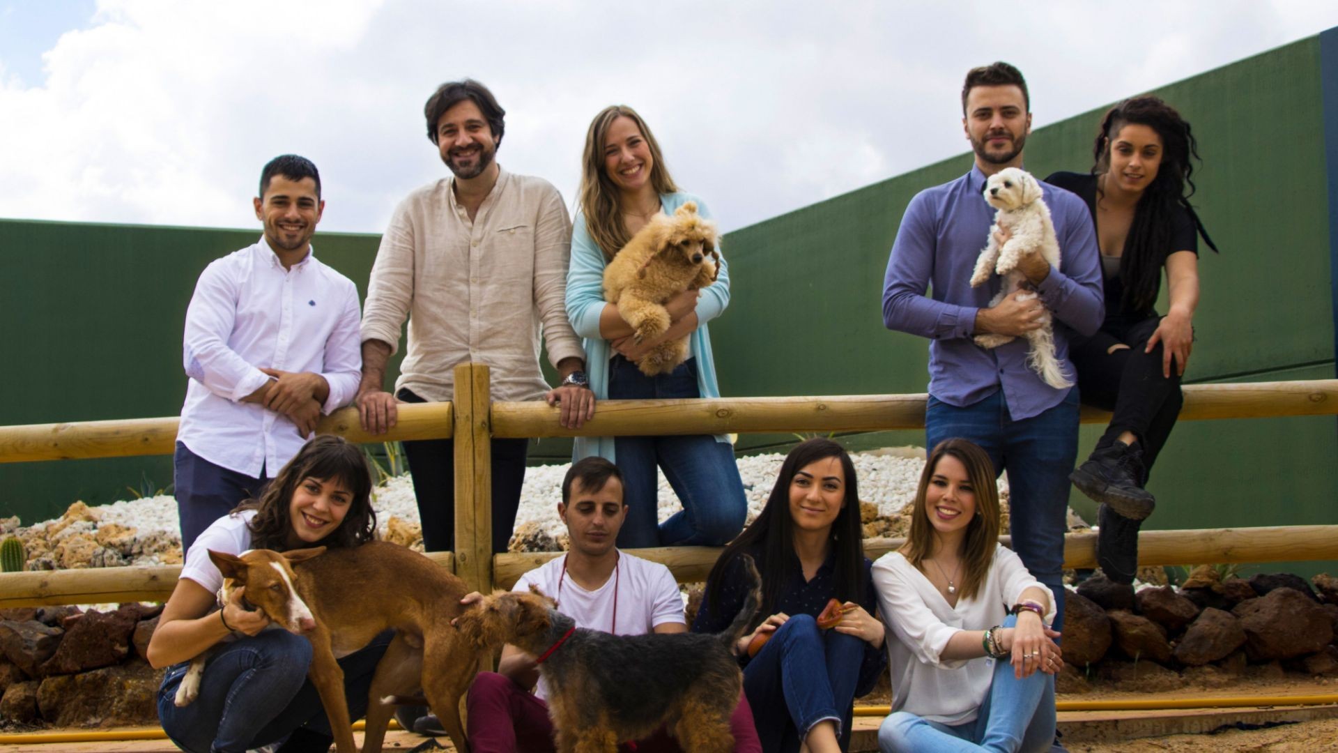 Hospital Veterinario Ciudad Real Hospital Veterinario Ciudad Real