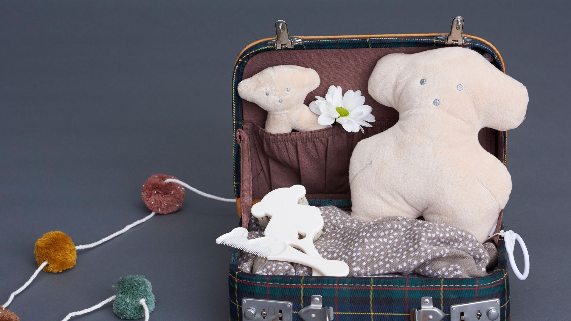 BabyTousAW19_08_0098 BabyTousAW19_08_0098