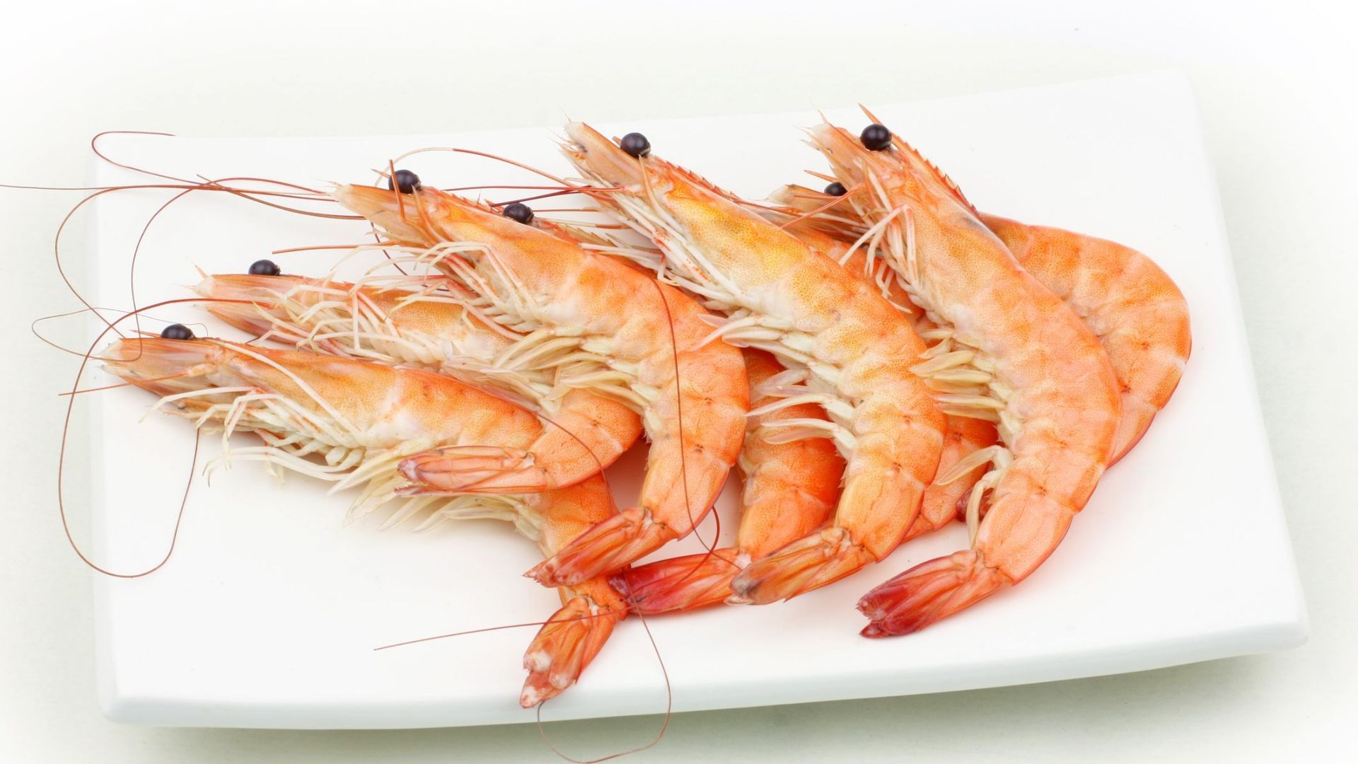 Restaurante especializado en mariscos en Molina de Segura Restaurante especializado en mariscos en Molina de Segura