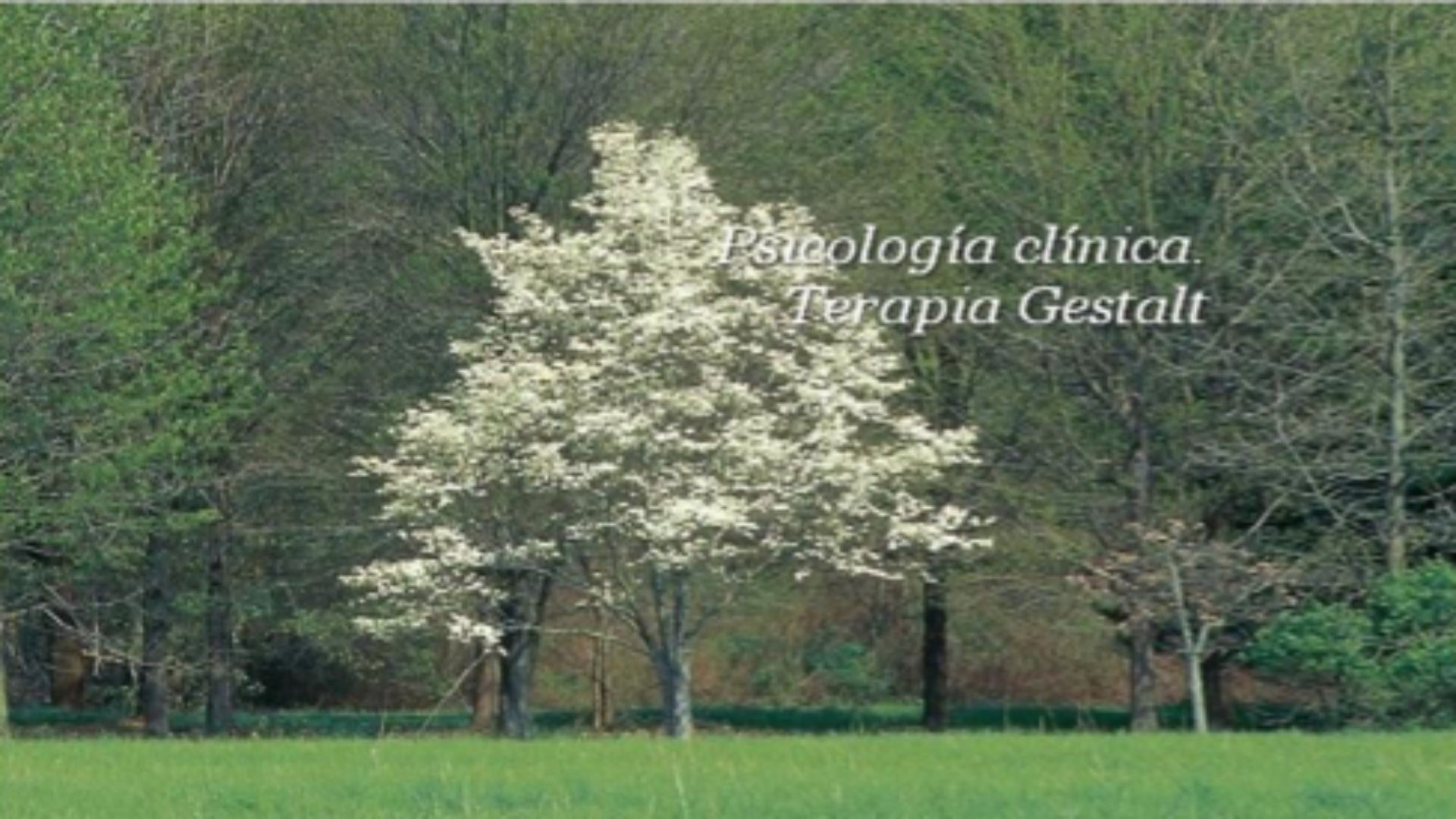 PSICOLOGO EN LOGROÑO PSICOLOGO EN LOGROÑO