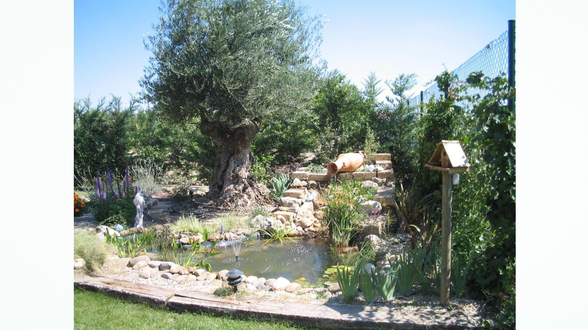 main photo background