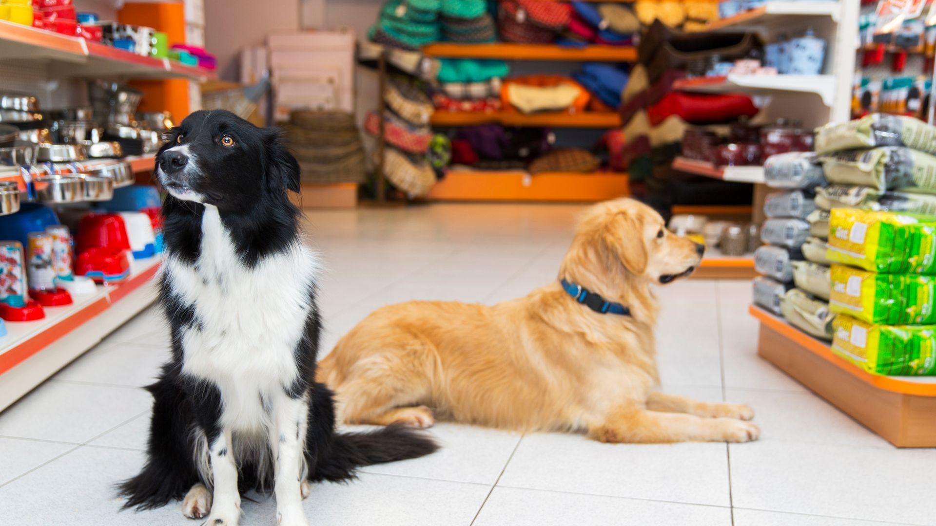 Tienda especializada en productos veterinarios en Alicante Tienda especializada en productos veterinarios en Alicante