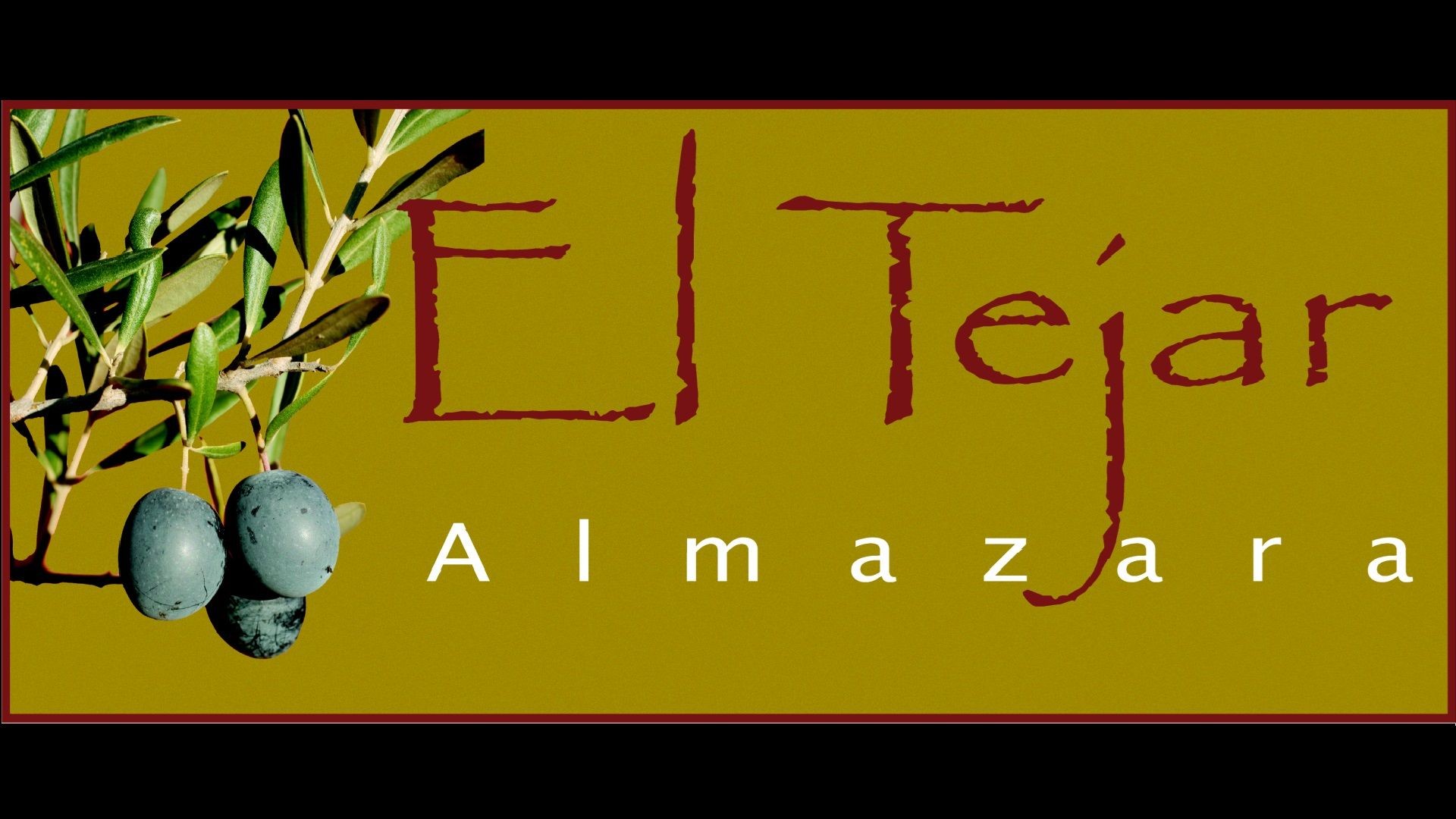 LOGO - ALMAZARA EL TEJAR PARA WEB