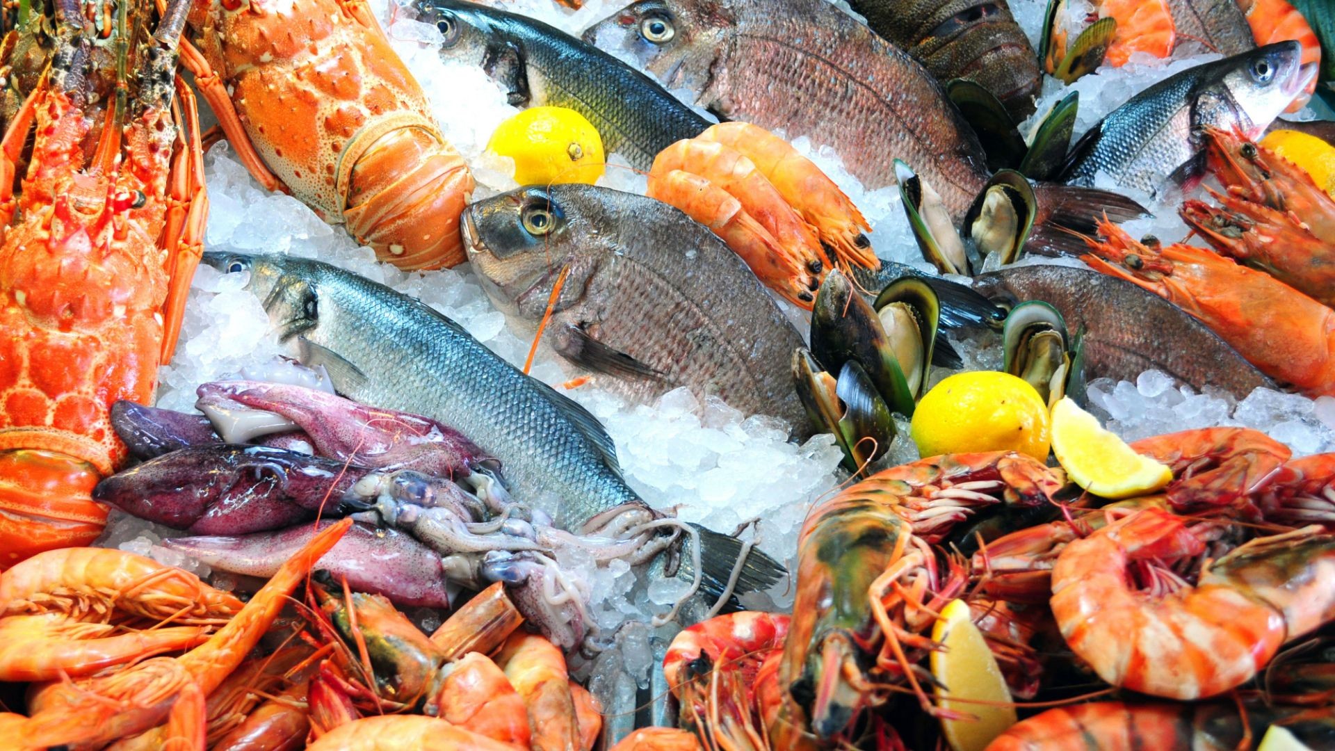 El mejor pescado fresco al mejor precio en Torrejón