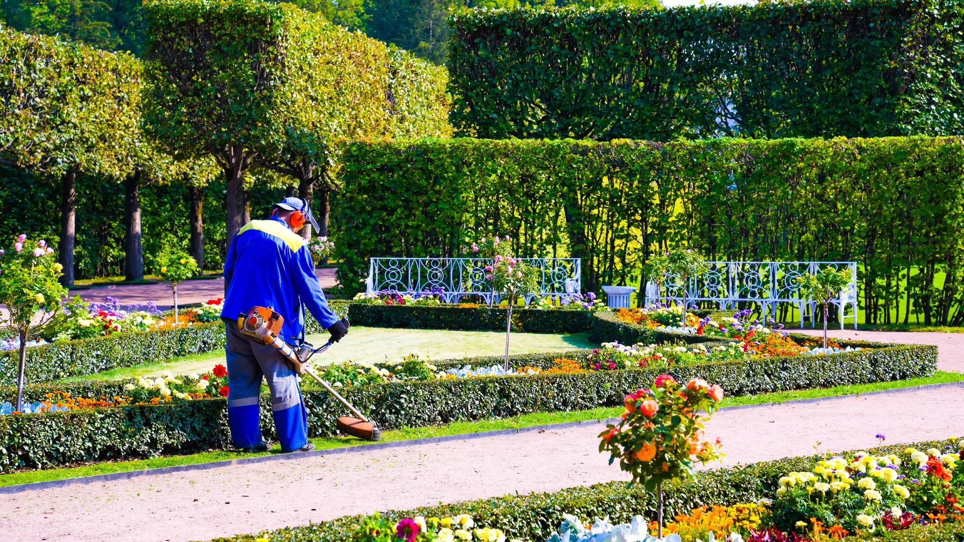 Mantenimento de jardines en Barcelona Mantenimento de jardines en Barcelona
